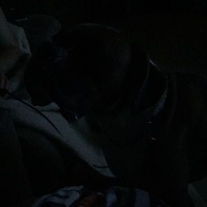 Meet your Posher, Meghann